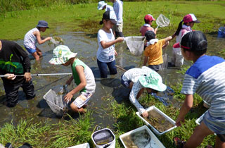NPO法人 ふくおか湿地保全研究会