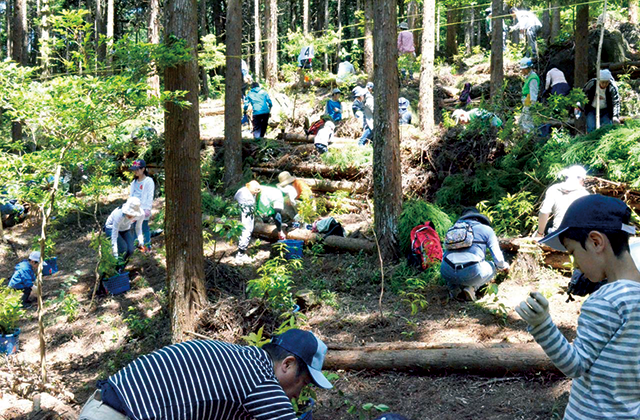 NPO法人 地球の緑を育てる会_筑波山水源の森づくり1