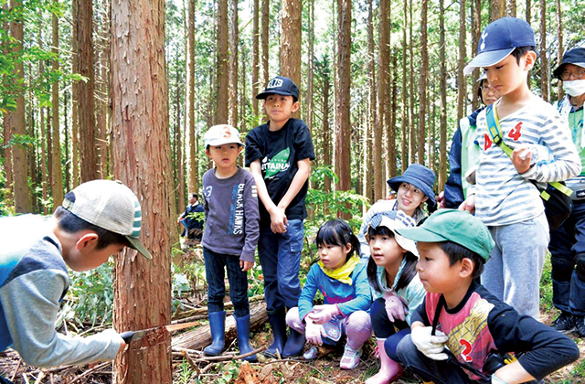 NPO法人 地球の緑を育てる会_筑波山水源の森づくり2