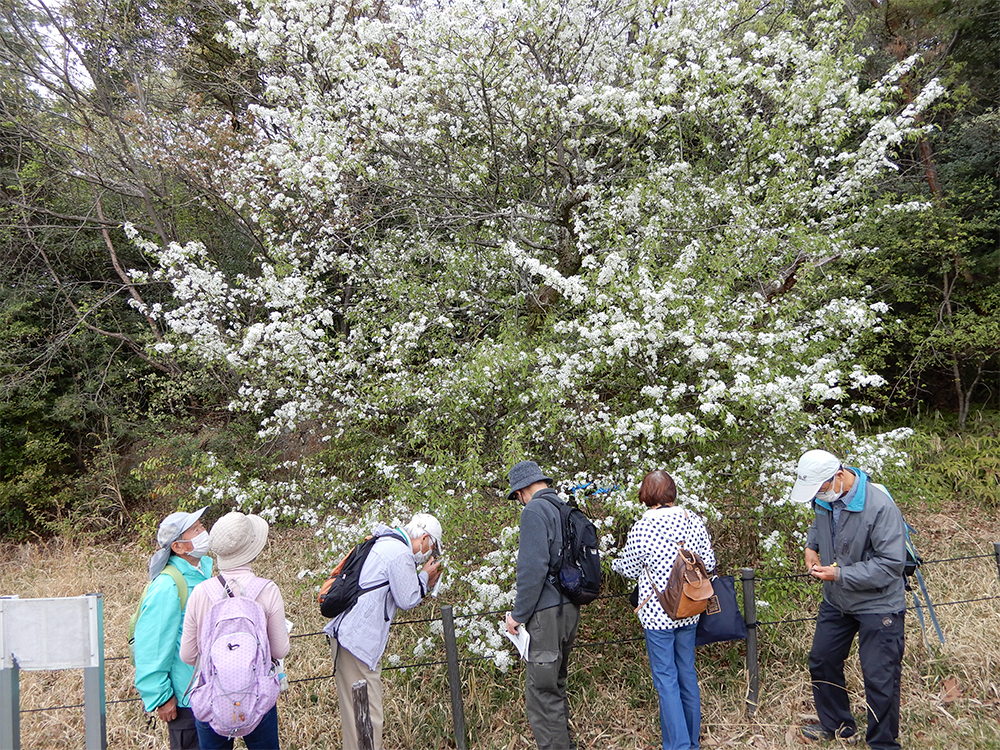 Aichi Moriyama Nature Association