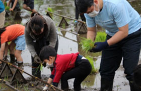 あびこ谷津学校友の会(千葉県)