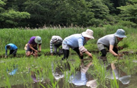 非営利活動法人 山崎・谷戸の会(神奈川県)