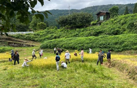 せぎなお会(滋賀県)