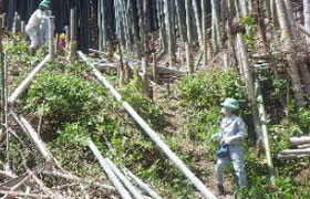 特定非営利活動法人 森林ボランティア 竹取物語の会(大阪府)