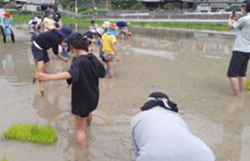 NPO法人棚田LOVERS(兵庫県)