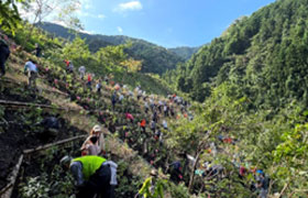 特定非営利活動法人 国際ふるさとの森づくり協会(東京都)