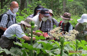 特定非営利活動法人戸隠森林植物園ボランティアの会(長野県)