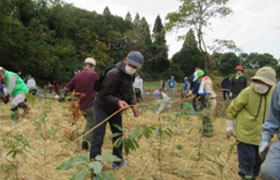 NPO法人霧島ふるさと命の森をつくる会(鹿児島県)