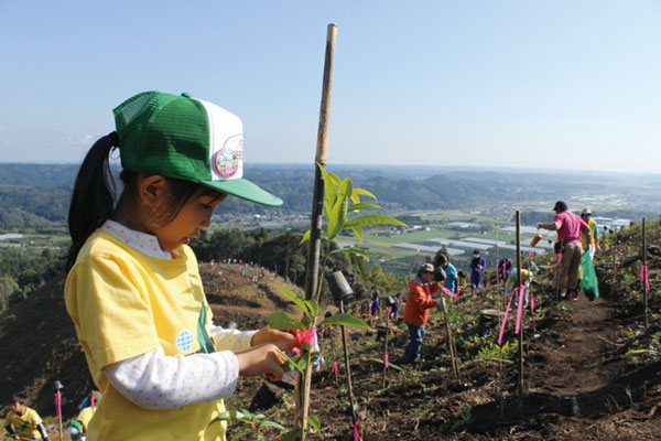 宮崎県 綾町植樹