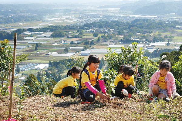 宮崎県 綾町植樹