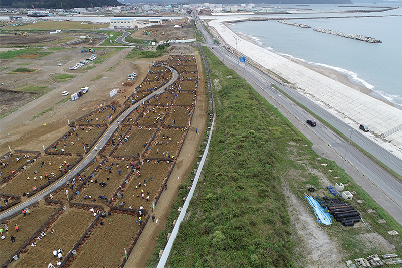 宮城県 石巻市植樹