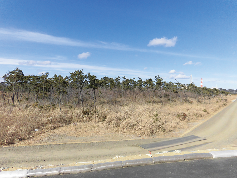 福島県 いわき市植樹