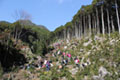 Kihokucho, Mie Prefecture
