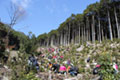 Kihokucho, Mie Prefecture