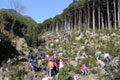 Kihokucho, Mie Prefecture
