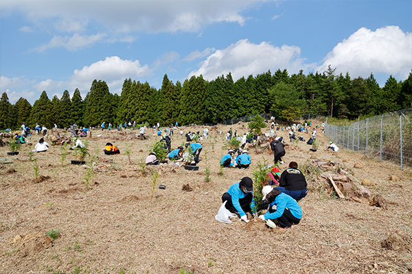 滋賀県甲賀市植樹