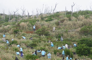 東京都 三宅島植樹