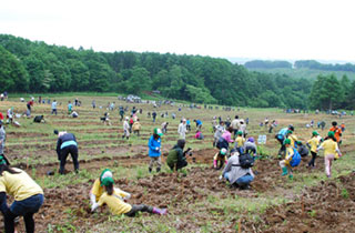 北海道 むかわ町植樹