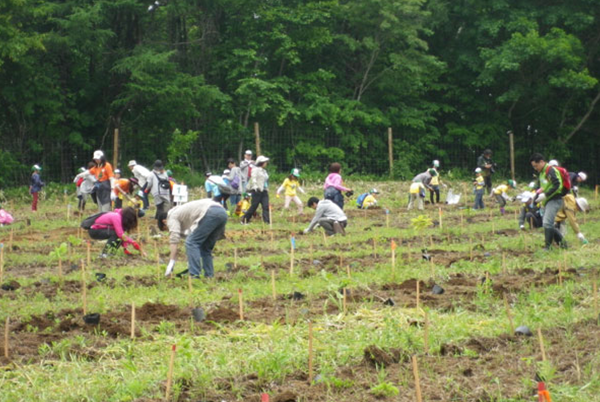 北海道 むかわ町植樹
