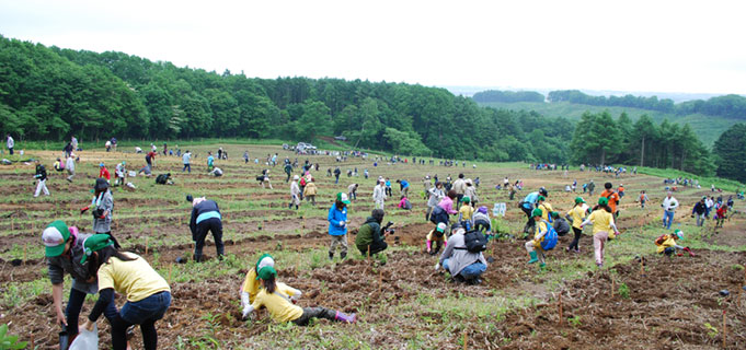 むかわ町植樹