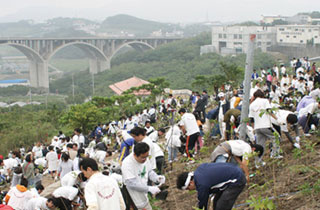 沖縄県 那覇市植樹