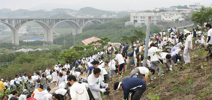 沖縄県 沖縄植樹