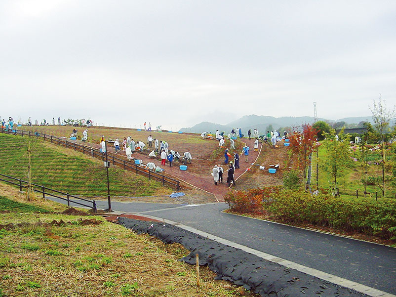 群馬県 太田市植樹