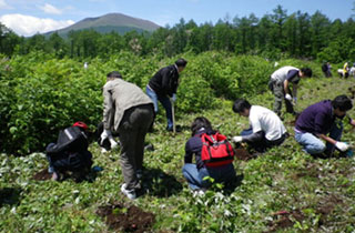 北海道 支笏湖植樹