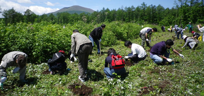北海道 支笏湖植樹