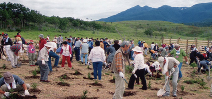 北海道 知床植樹