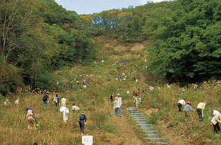 新潟県 佐渡トキの森植樹