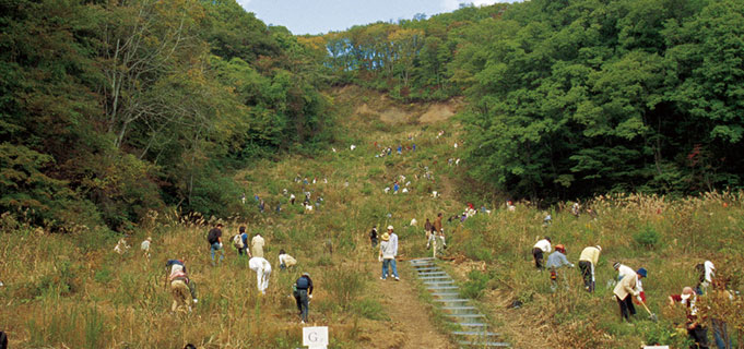 新潟県 佐渡トキの森植樹