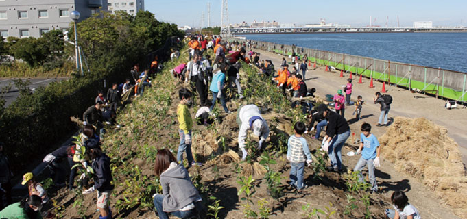 浦安市植樹
