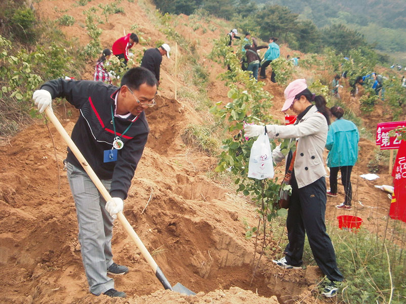 中国 山東省威海市植樹