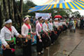 The planting of trees in Hanoi, Vietnam 