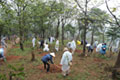 The planting of trees in Hanoi, Vietnam 