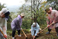 The planting of trees in Hanoi, Vietnam 