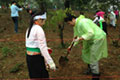 The planting of trees in Hanoi, Vietnam 