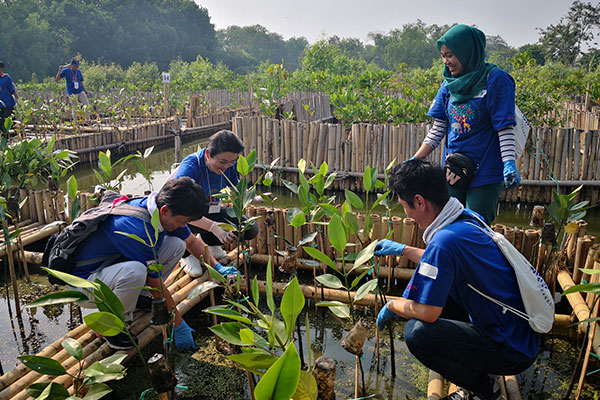 インドネシア ジャカルタ植樹