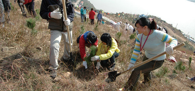 中国 青島市ラオ山ダム植樹