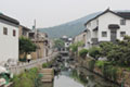 The planting of trees in Suzhou City, China