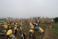 The planting of trees in Suzhou City, China