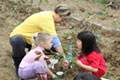 The planting of trees in Suzhou City, China