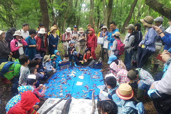 Conservation of biodiversity and environmental education