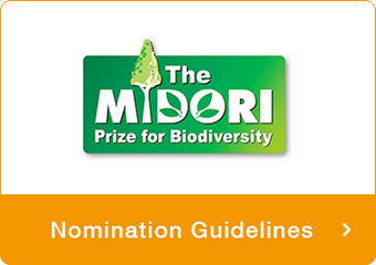 Nomination Guidelines