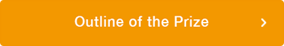 Outline of the Prize