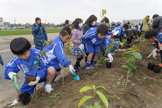 宮城県 石巻市植樹