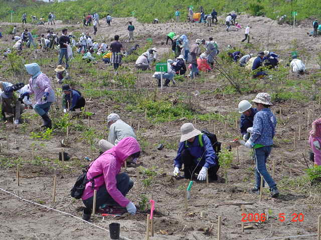 秋田県 下浜海岸植樹