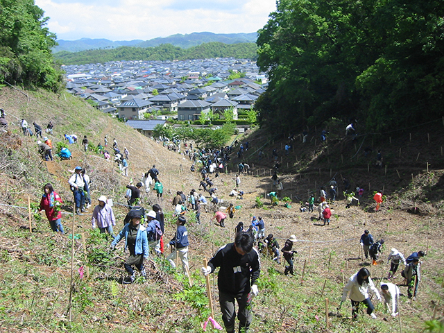 鳥取県 鳥取植樹
