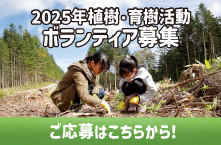 2025年植樹・育樹活動 ボランティア募集のご案内
